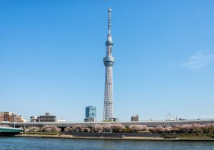 住宅宿泊事業(民泊)墨田区宿泊者名簿